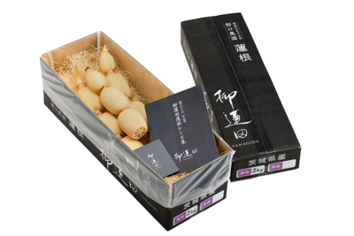 レンコンれん子　CHRISTIAN AUJARD ＆Max Mara 2点 レンコンれん子 CHRISTIAN AUJARD ＆Max Mara 2点 レンコンれん